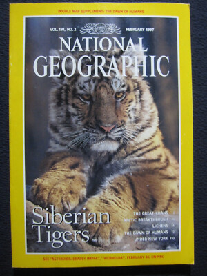 National Geographic February 1997 Siberian Tiger, Under New York