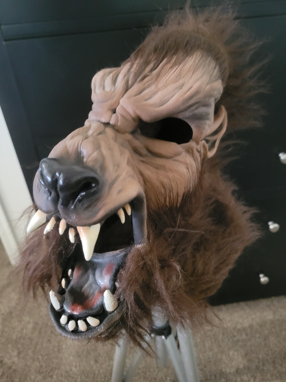 Picture 1 of 4
