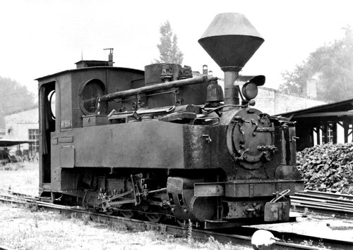 D S/W Foto 99-1211 99 3313-6 Muskauer Waldeisenbahn 10x15