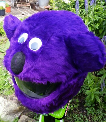 MOTORBIKE POLLYS CRAZY PULL ONS FUNNY MOTORCYCLE CRASH HELMET