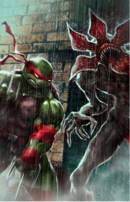 Teenage Mutant Ninja Turtles Stranger Things #1 Ivan Tao Variant Cover IDW