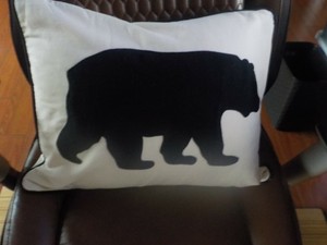 eddie bauer pillows