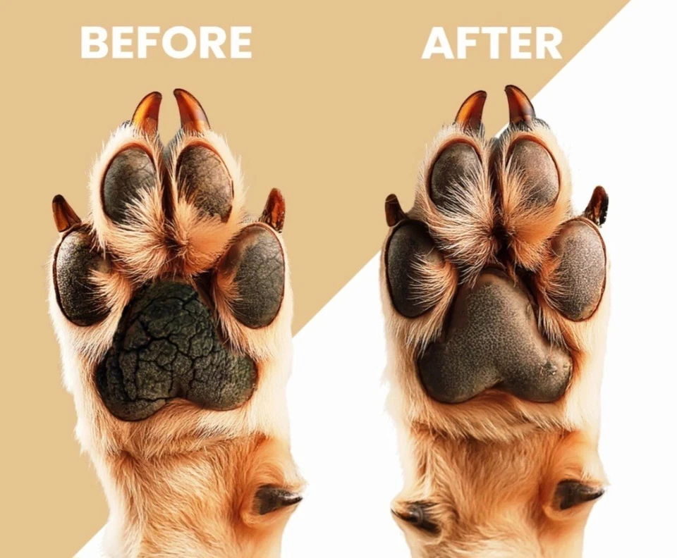 Bálsamo Wags & Wiggles - Cuidado natural para patas y narices. Foto 3 de 4