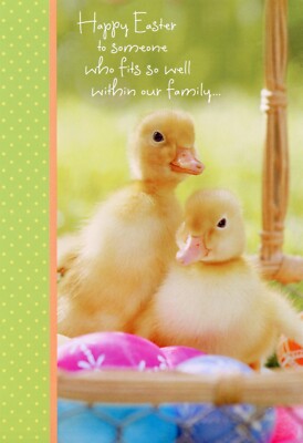Cute EASTER Card FOR SOMEONE WHO FITS SO WELL WITHIN OUR FAMILY by Hallmark + 