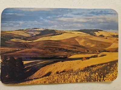 R9: Vintage Postcard Wheat Farms of Whitman County Washington Ross Hall 80618