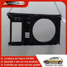 Calandre Peugeot 307