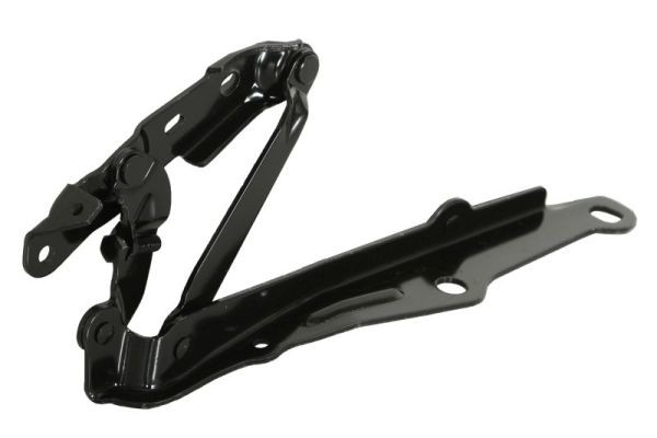 both sides BLIC 6802-00-0950452P Hinge, bonnet for DODGE