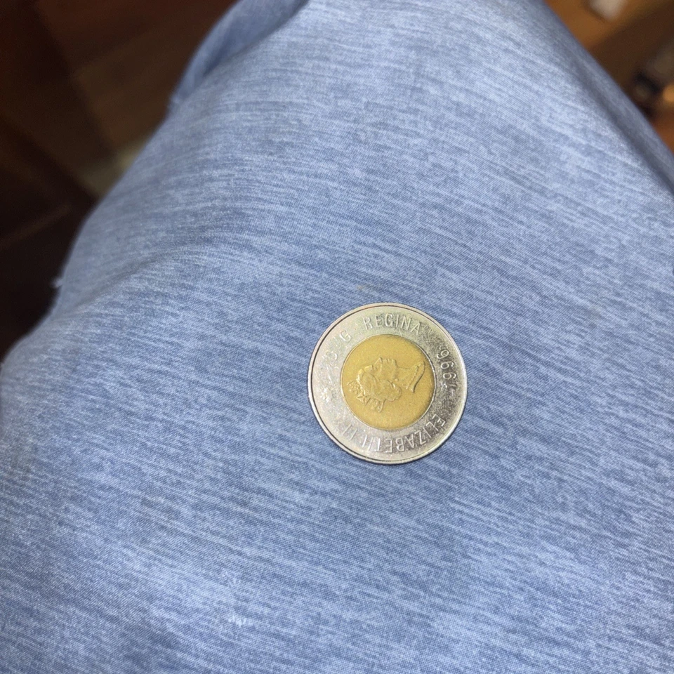 Moneda bimetálica canadiense de 2 dólares 1996 reina Isabel II oso polar D.G. Regina Foto 2 de 4