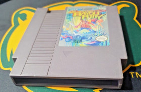 The Adventures of Bayou Billy (Nintendo, NES, 1989) Retro Vintage Video Game