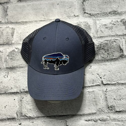 Patagonia Fitz Roy Pro Grizzly Bear Patch Sunset Trucker Mesh Snapback Hat Blue - Afbeelding 1 van 8