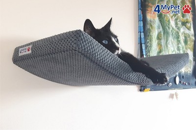 floating cat wall shelves