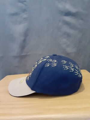 Kiwi Birds Custom Baseball Cap - Men's Adjustable Snapback Flat Brim Hat With Cute Print