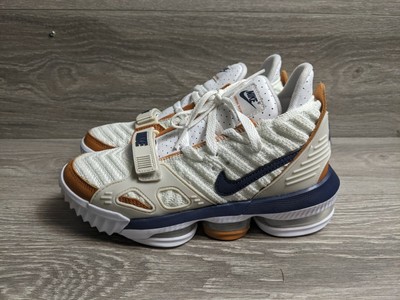 lebron james 16 medicine ball