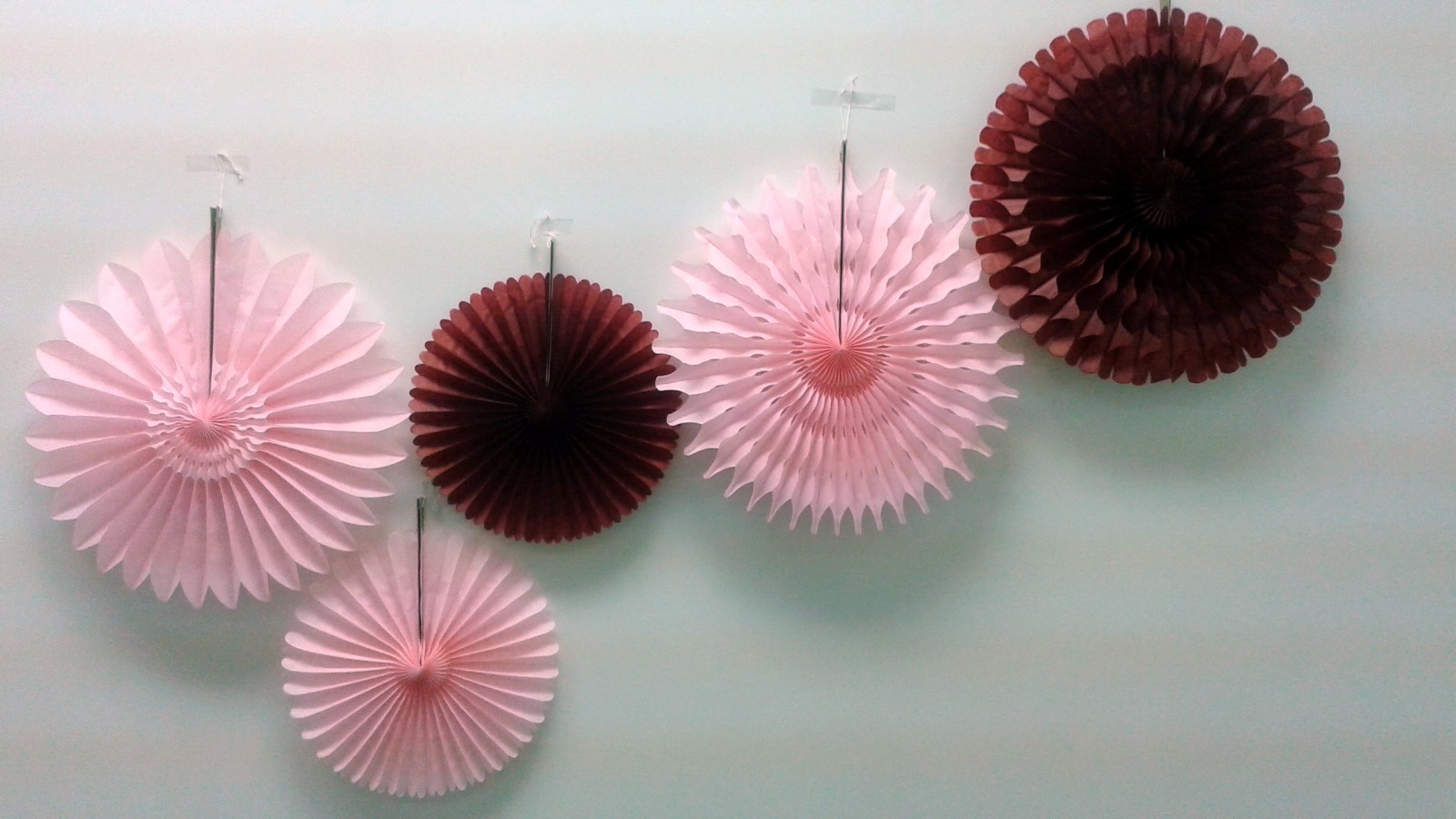 Party Hanging Decoration Tissue Paper Fan Kit (set of 5 fans) by Devra ...