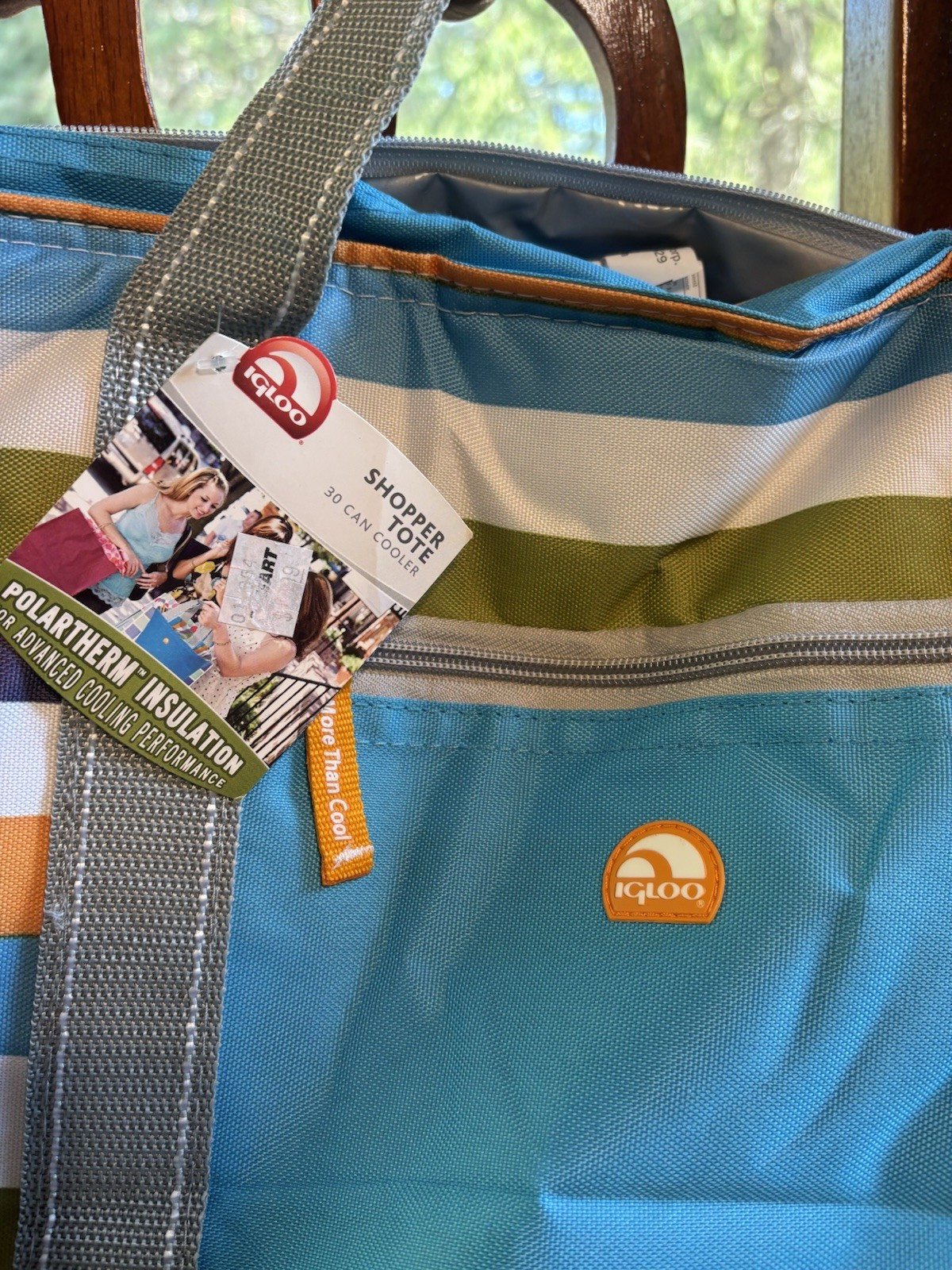 Bag Multi-color Stripe Polartherm Insulated