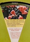 Vintage Agricultural Literature Collection Circa 1950s — photo 6
