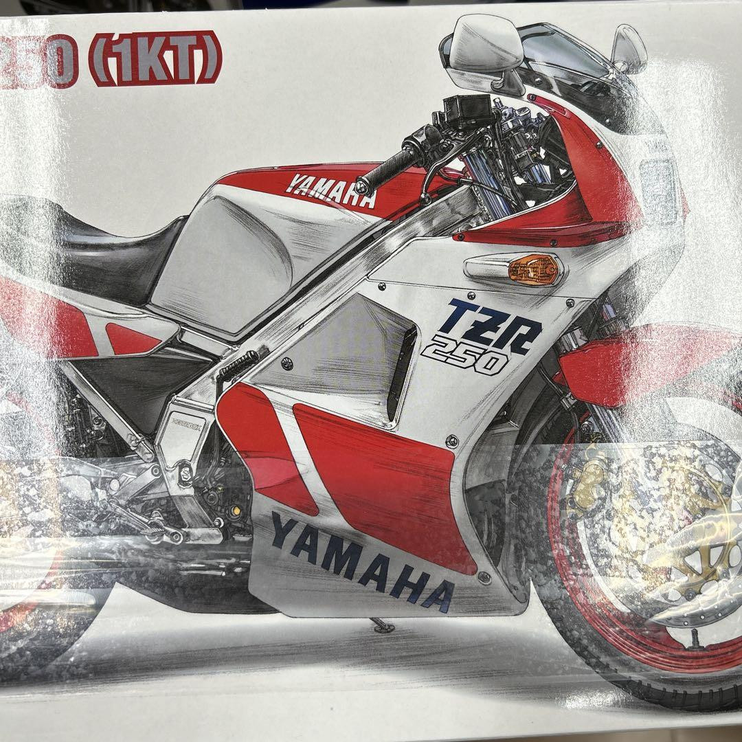 Hasegawa Yamaha TZR250 (1KT) 1985 Yamaha | eBay