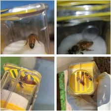 Bee Queen Marking Catcher One Handed Marker Bottle Plunger Plush Tool