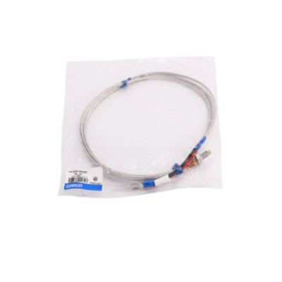 Omron New Original Genuine Thermocouple    E52-CA1DY M6 1M