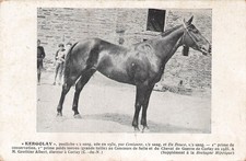 KERGOLAY Une POULICHE née en 1932 30153