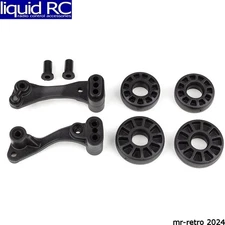 Associated 71070 DR10 Wheelie Bar Wheels and Mount