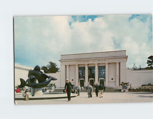 Postkarte Steinhart Aquarium California Academy of Sciences San Francsico CA USA