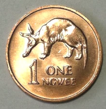 1983 Zambia 1 ngwee Coin Aardvark Orycteropus Afer Animal African Wildlife