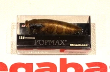 WOW Megabass POP MAX Limited Show Color "MAMUSHI" SP-C Color FREE SHIP
