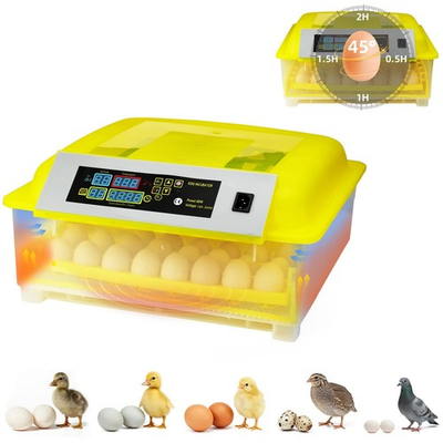 #ad #ad Egg Incubator for Hatching Eggs Automatic Egg Turner amp; Digital Humidity Cont... $151.75