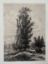 Kühe in einer Landschaft, Radierung signiert Louis Marvy, alter Stich, 19. Jh.