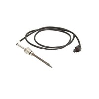 Sensor, Abgastemperatur Delphi TS30055