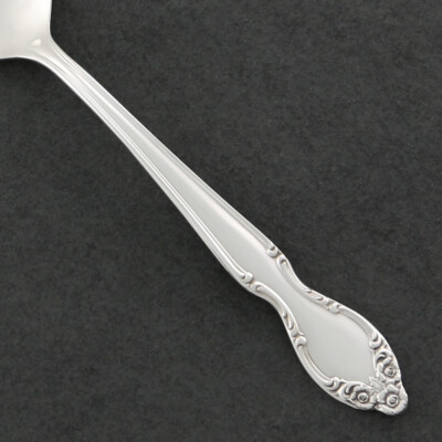 International LADY DENSMORE Silverplate 1955 Silverware CHOICE Flatware