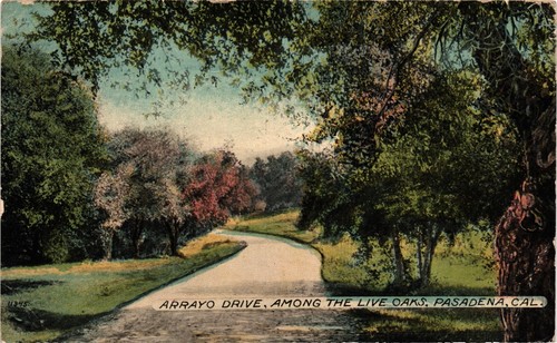 Kalifornien Pasadena Arrayo Fahrt unter den lebenden Eichen um 1921 CA Postkarte - Bild 1 von 2