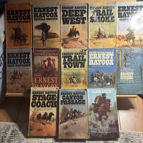 Konvolut 13 Ernest Haycox Vintage Taschenbücher Western
