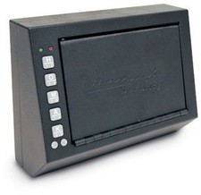 Electronic Access Pistol Box, 10x3.5x7.5" HOM-HS10036683