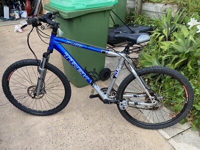 Central Coast NSW Region, NSW | Men's 