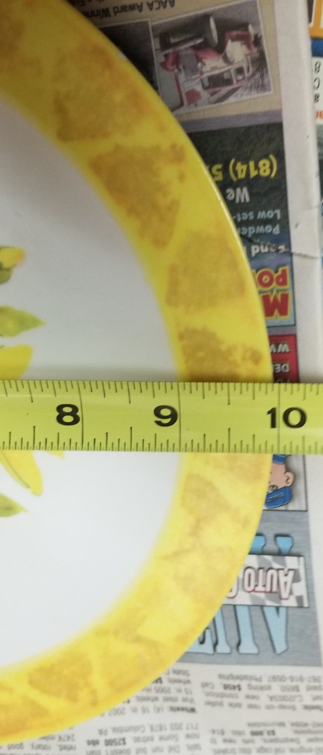 Vintage National Home Products NPH Artisan Ware Flowers 10” Plates (Rare)K157 KC