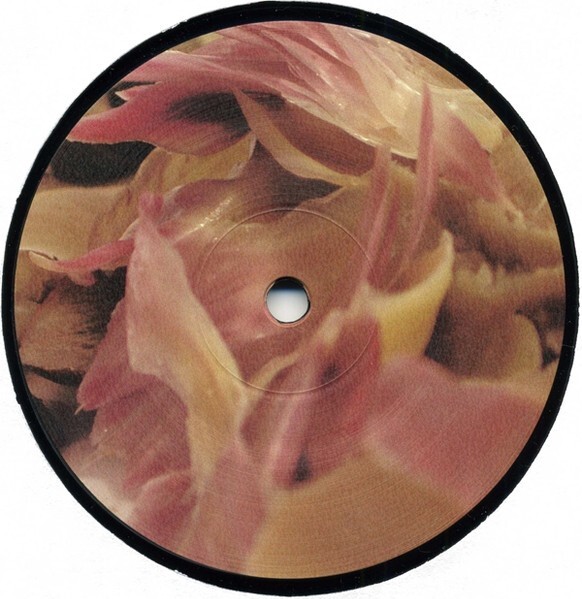 Ricardo Villalobos / Alcachofa 2003 German 3LP Playhouse