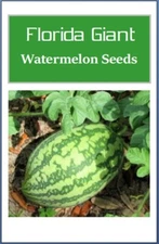 Florida Giant Watermelon Seeds | Fresh NON-GMO Watermelon Seeds Heirloom Seeds