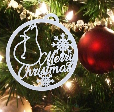 Merry Christmas Cat Lover Ornament