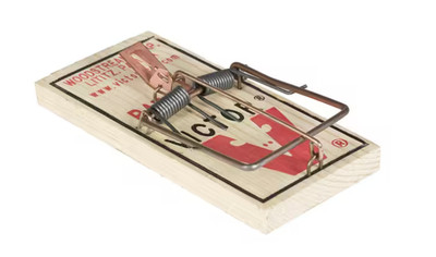 2 Pack - Victor M210 Rat Trap Reusable Wide Pedal FSC Wood Snap - Brand New