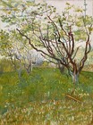 Vincent Van Gogh The Flowering Orchard Wall Art Poster OR Canvas Size A4-A1