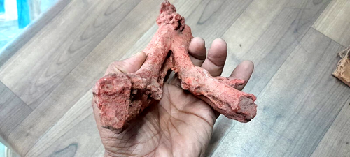 Coral Rough Red Gemstone Natural Loose Unpolished Sea Vintage 1500 Carat - Picture 3 of 6