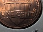 Foto 14 di 15