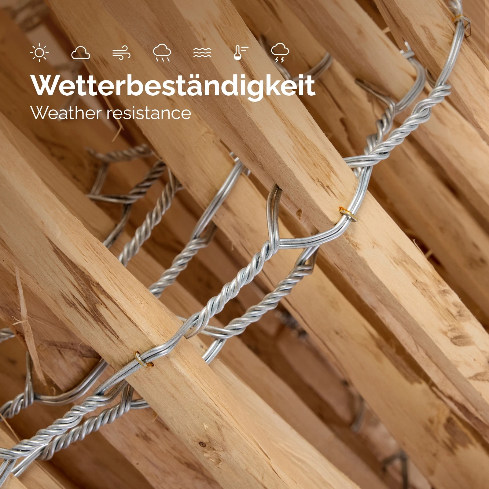 Bild 31 von 47