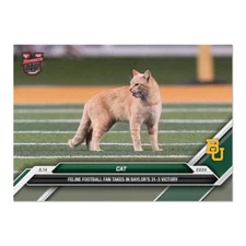 2024 NCAA BOWMAN U TOPPS NOW 14 the CAT BAYLOR UNIVERSITY in hand