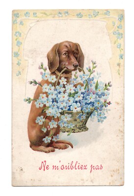 Don't forget me. Dog, dachshund postcard embossed