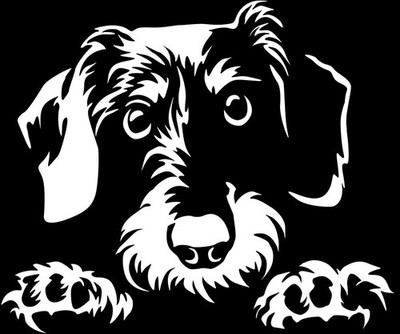 DACKEL TECKEL Aufkleber - Rauhaardackel Autoaufkleber - sticker - Dackel Kopf#15