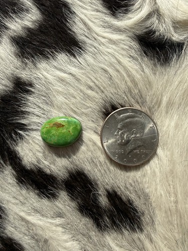 Sonoran Turquoise Can Never Used In Jewelry.  Coin For Size Only