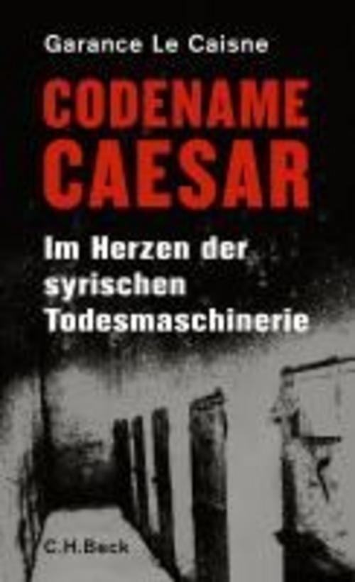 Thumbnail - Codename Caesar, Garance Le Caisne